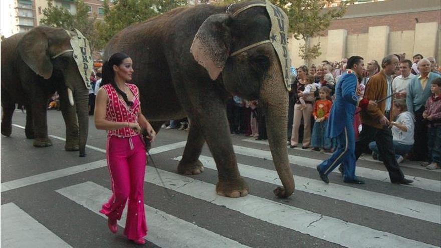 Aragón prohibirá los circos con animales en toda la comunidad
