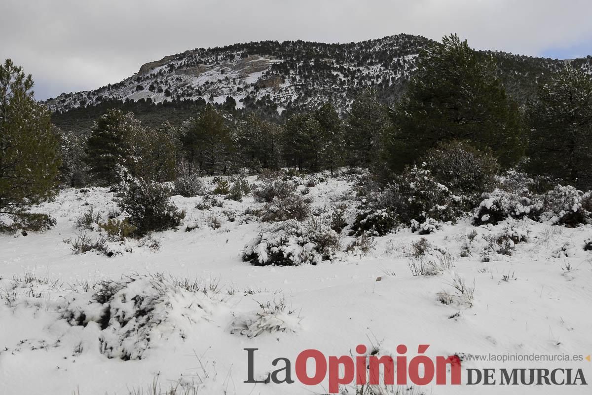 La borrasca Herminia tiñe de blanco la cima de la Región de Murcia
