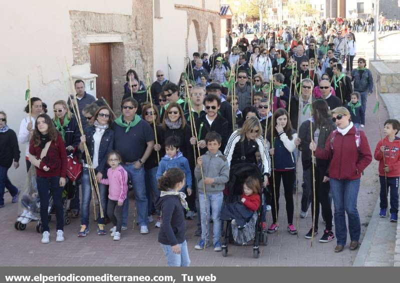 GALERÍA DE FOTOS - Romería Magdalena 2014 (3)