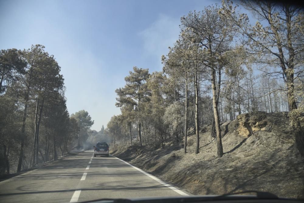 Incendi forestal a Sant Feliu Sasserra