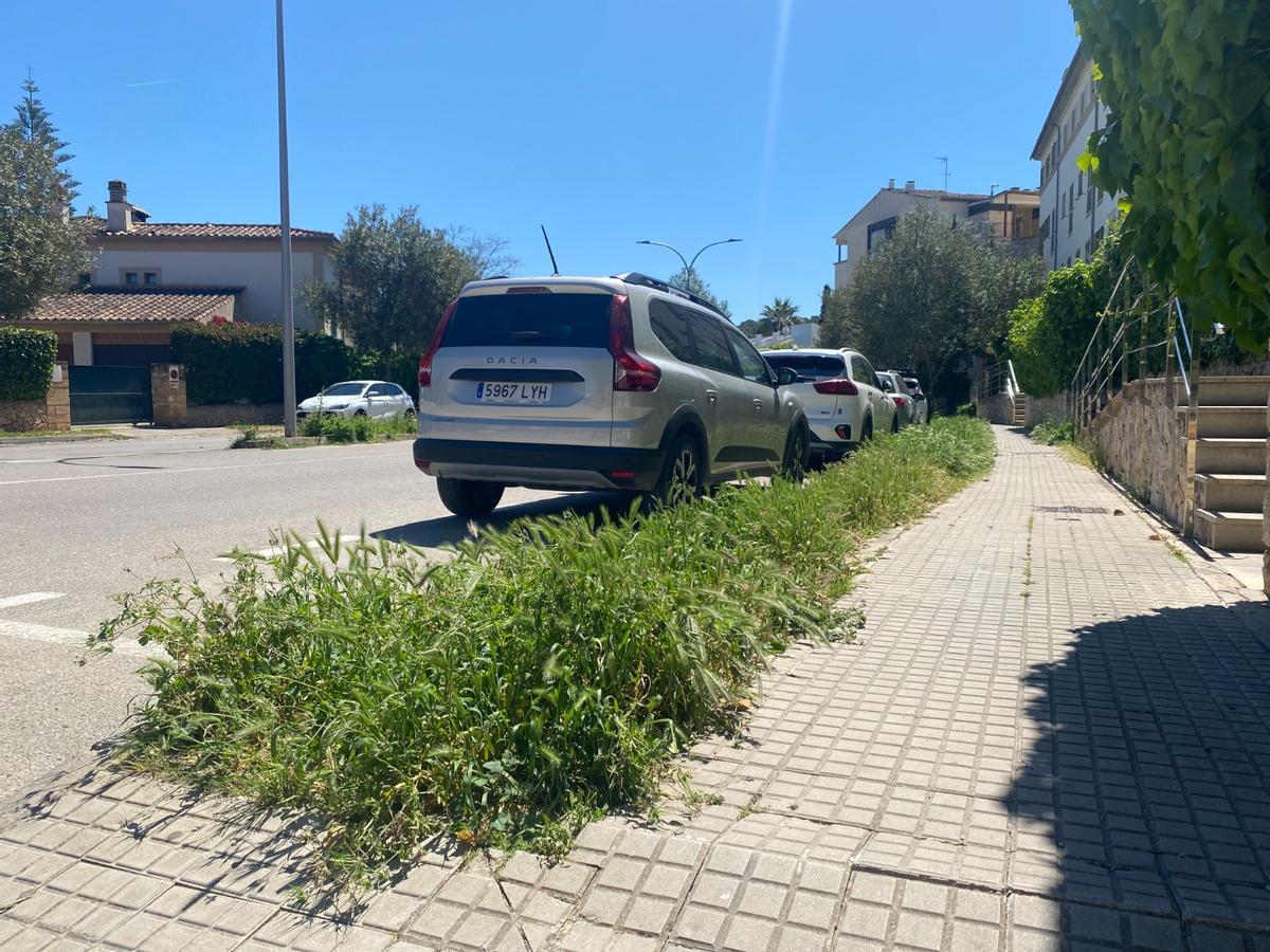 La maleza desborda las aceras del barrio de sa Teulera