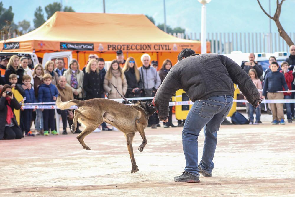 Exhibición policial en Granja de Rocamora