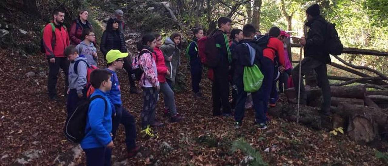 Alumnos del colegio Darío Freán de Coaña, durante una visita a los montes en Proaza.