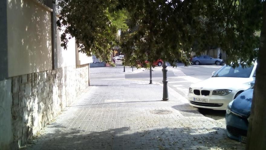 Los peatones chocan con las ramas por la falta de poda en los árboles de Pintor Genaro Lahuerta