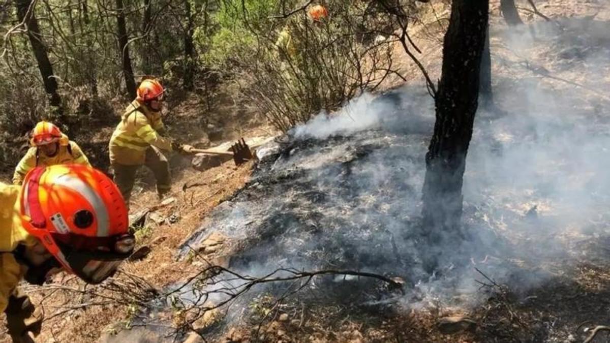 Bomberos forestales del Infoex sofocan y refrescan una zona afectada por las llamas para evitar posibles reproducciones.