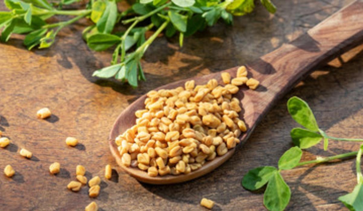 Hojas y semillas de fenogreco.