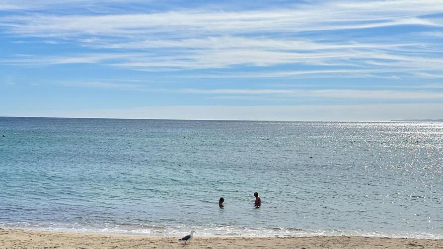 Ibiza registra un febrero de 2026 extremadamente cálido, ventoso y con mínimas lluvias