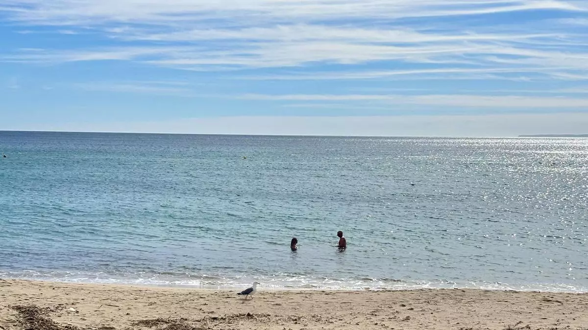 Ibiza records an extremely warm, windy and exceptionally dry February in 2026