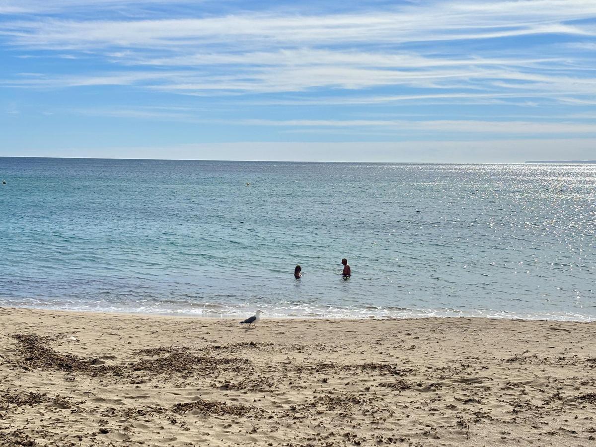 Dos personas bañandose en la playa de Santa Eulària este febrero.