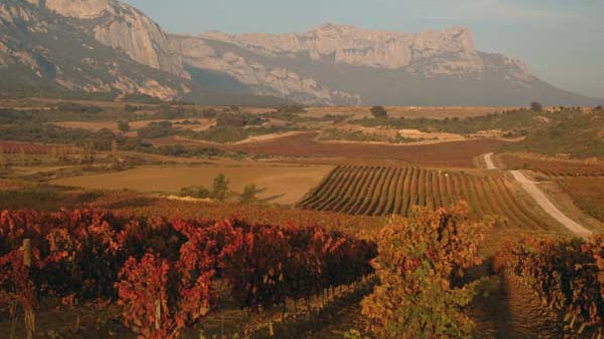 La Rioja Alavesa en bici