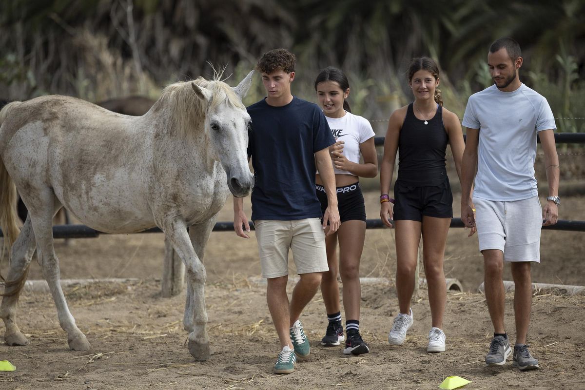 Becados de SPAR Gran Canaria en una experiencia con caballos