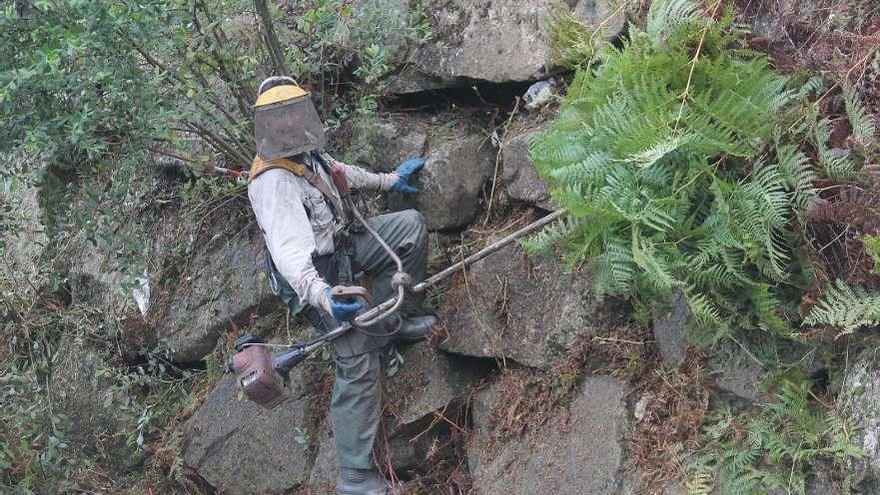 Personal municipal durante la limpieza del margen de un río en Moaña.  // Santos Álvarez