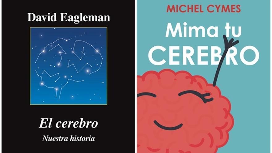 Cinco libros que te harán ganar inteligencia - La Opinión de Murcia
