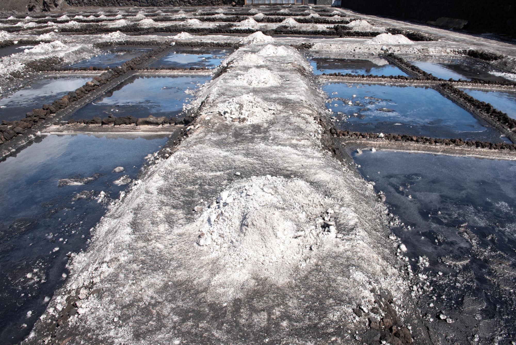 La ceniza cubre la sal de las salinas de Fuencaliente