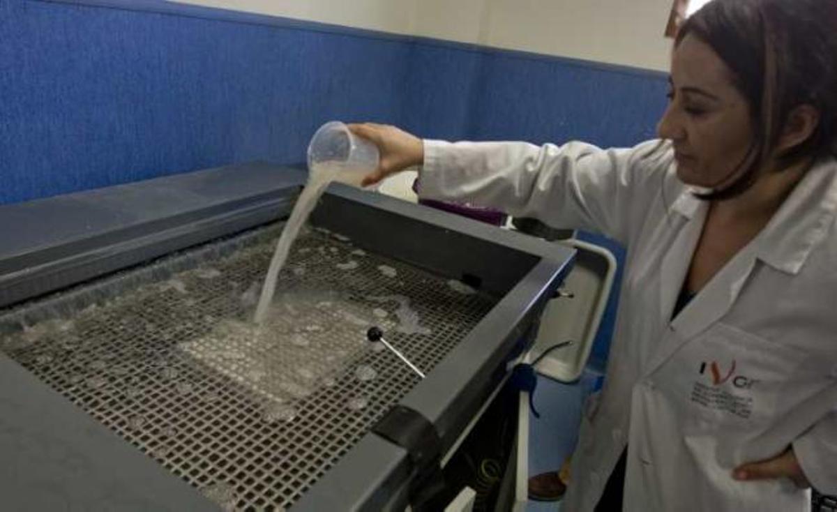 El laboratorio de papel de Alicante ya ha recuperado 113 documentos
