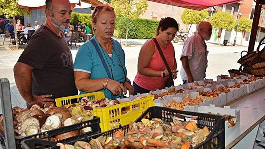 Viistants en una parada de bolets frescos al mercat de Cal Rosal, l&#039;any passat