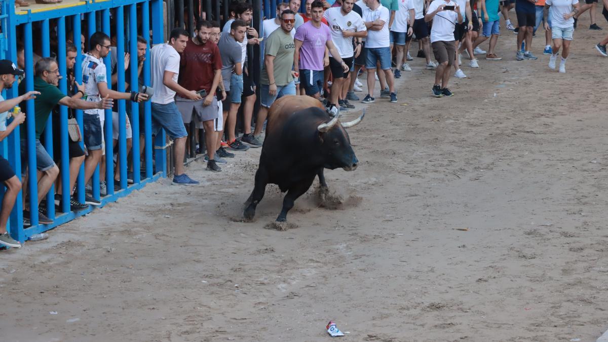 Los tres astados de la tarde han tenido una salidas espectaculares y muy bien presentados