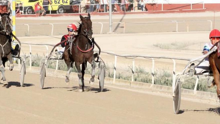 Venc de Boko (2), dirigido por Jeroni Fuster, afronta los metros finales de su sobrada victoria de ayer en el Hipòdrom de Manacor.