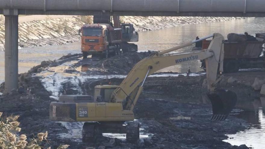 Sólo el uno por ciento de los  peces del Segura son &#039;murcianos&#039;