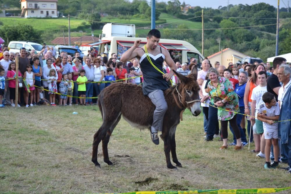 Carrera de burros en Pañeda