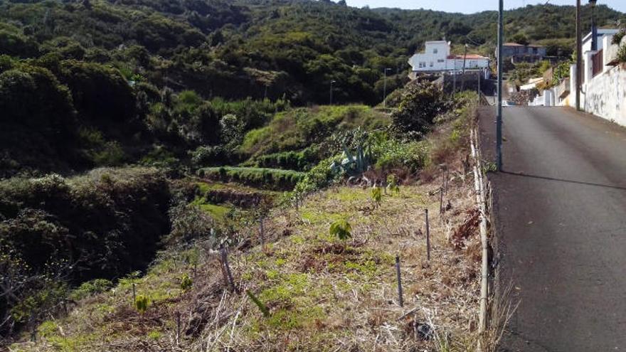 Zona en la que fallecieron los tres vecinos de San Andrés y Sauces.