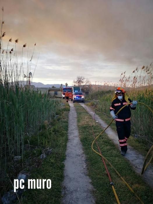 Nächtlicher Brand in S'Albufera schreckt Anwohner auf