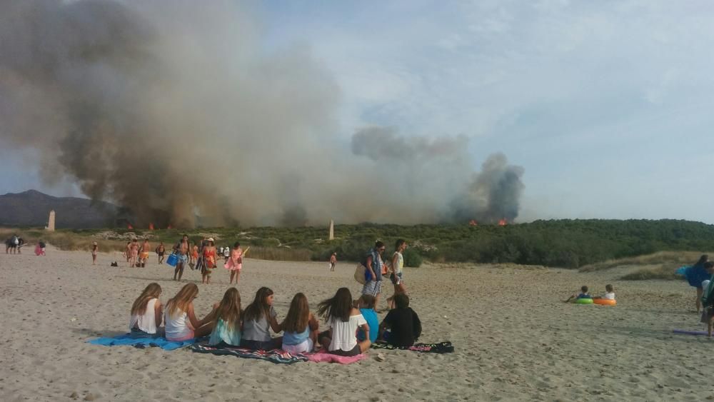 Im Gebiet von sa Canova im Nordosten von Mallorca ist am Mittwochnachmittag (17.8.) erneut ein Waldbrand ausgebrochen, nachdem es nur zwei Tage zuvor bereits gebrannt hatte. Das Feuer war gegen 2 Uhr nachts unter Kontrolle und zerstörte rund 23 Hektar Kiefernwald.