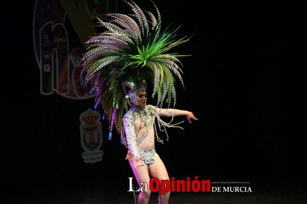 XVI Concurso nacional de Drag Queens en el Carnaval de Águilas