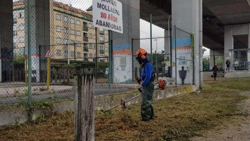 Las brigadas trabajan en el entorno de Rosalía de Castro. // FdV