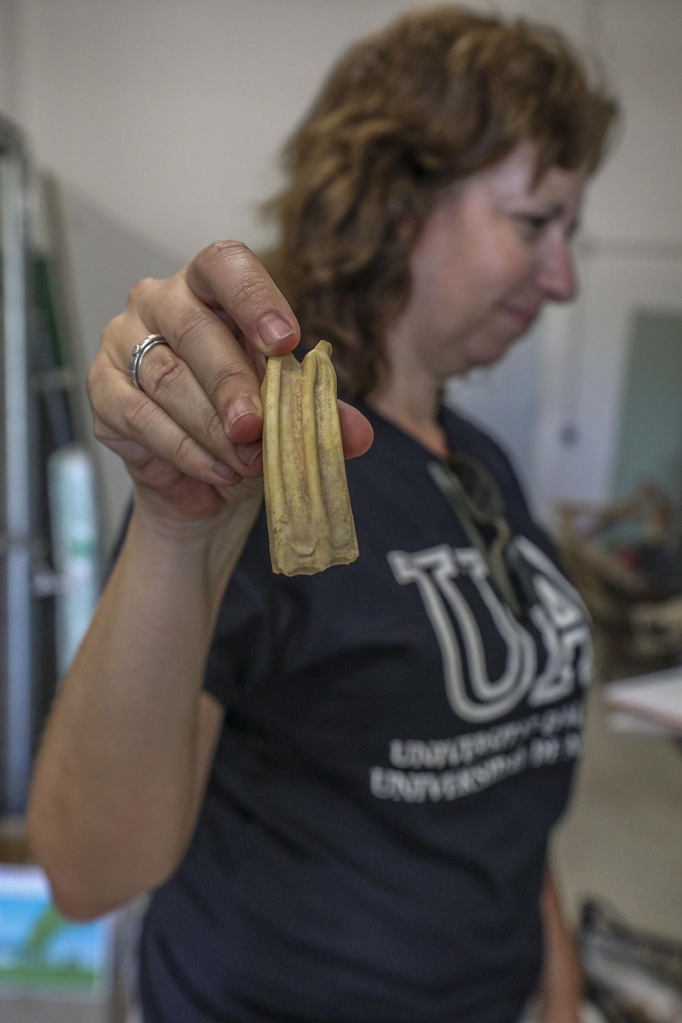 Primeras casas íberas halladas en las excavaciones en el yacimiento de La Alcudia en Elche