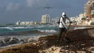 México en vez de Miami: los cubanos huyen hacia el sur tras el regreso de Trump