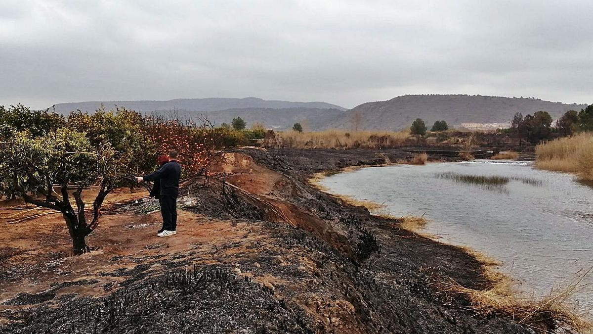 Orilla del río y un campo afectado por el incendio del sábado en el término de Sumacàrcer. | FERMÍN GARCÍA