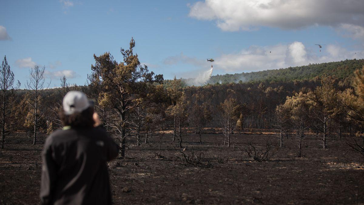 Territorio quemado en el incendio de Sierra de la Culebra.
