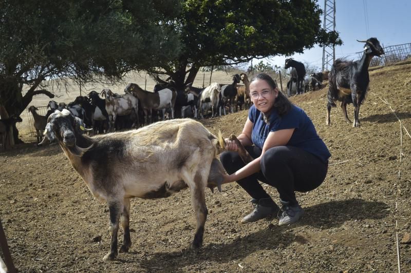 Con mucho geito: Dunia Moreno Gil, veterinaria y ganadera trashumante