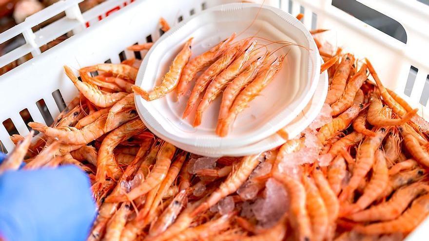 La Feria de la Gamba y el Marisco de Huelva 2026 ya está aquí: estos son los precios por plato de gambas y las novedades del certamen