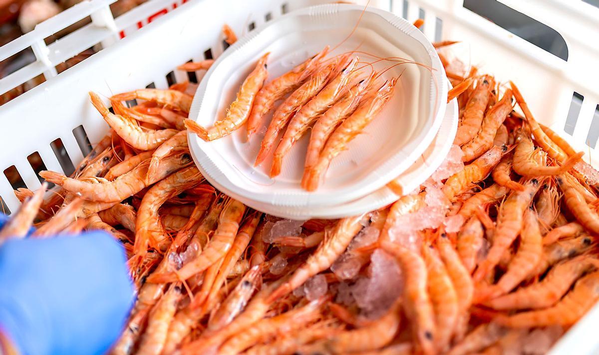 Una imagen de un cajón de gambas en la Feria de la Gamba y el Marisco de Huelva del pasado año.