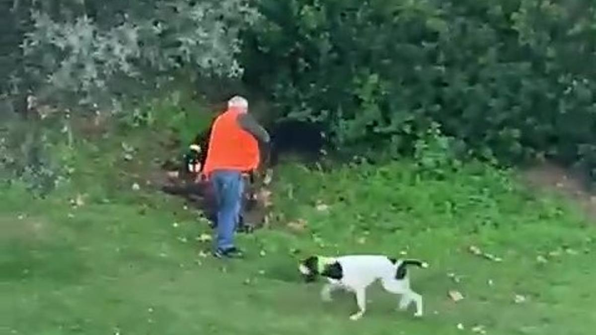 Cazadores abaten un jabalí en una zona urbana de Tossa de Mar el pasado fin de semana