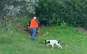 Cazadores abaten un jabalí en una zona urbana de Tossa de Mar el pasado fin de semana