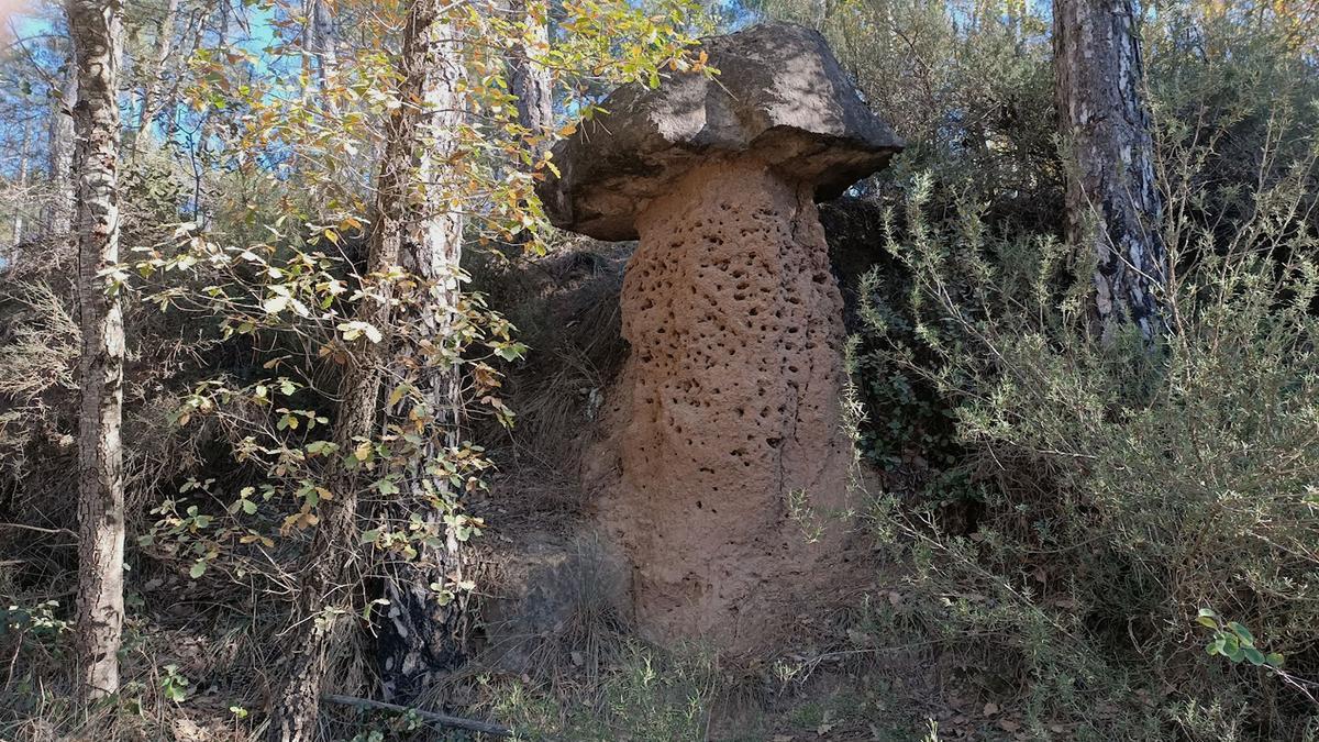 Bolet de pedra de Merola, al Berguedà.