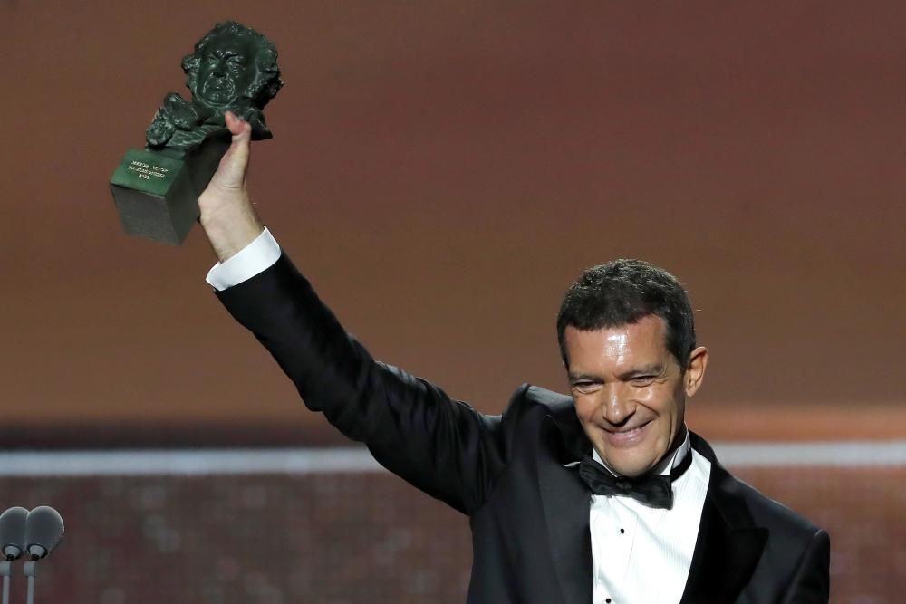 Antonio Banderas, Goya a Mejor Actor por 'Dolor y Gloria'.