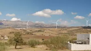 Frente institucional y vecinal contra un proyecto eólico en el interior de Málaga