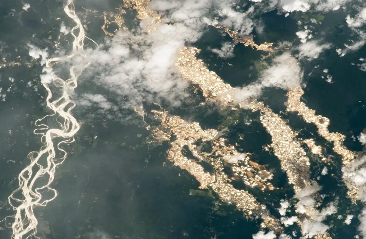 Vista aérea de la deforestación de zonas de turbera junto a un río