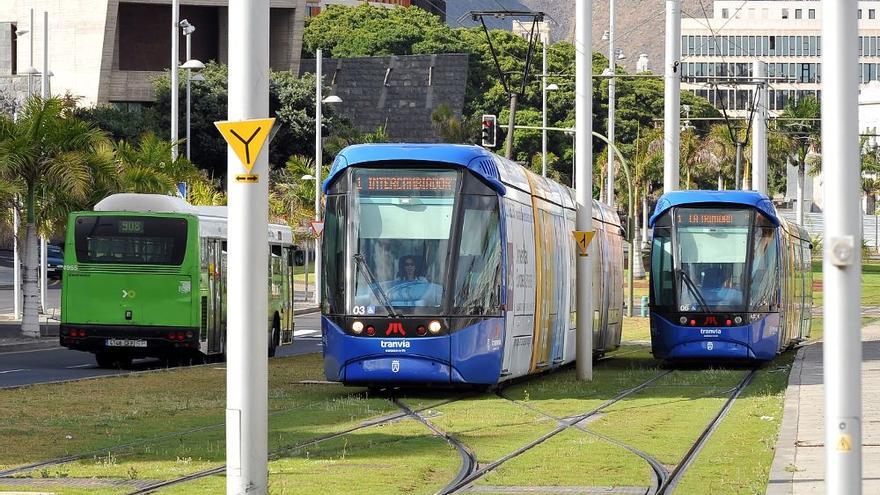 Varios tranvías circulan por Santa Cruz de Tenerife.