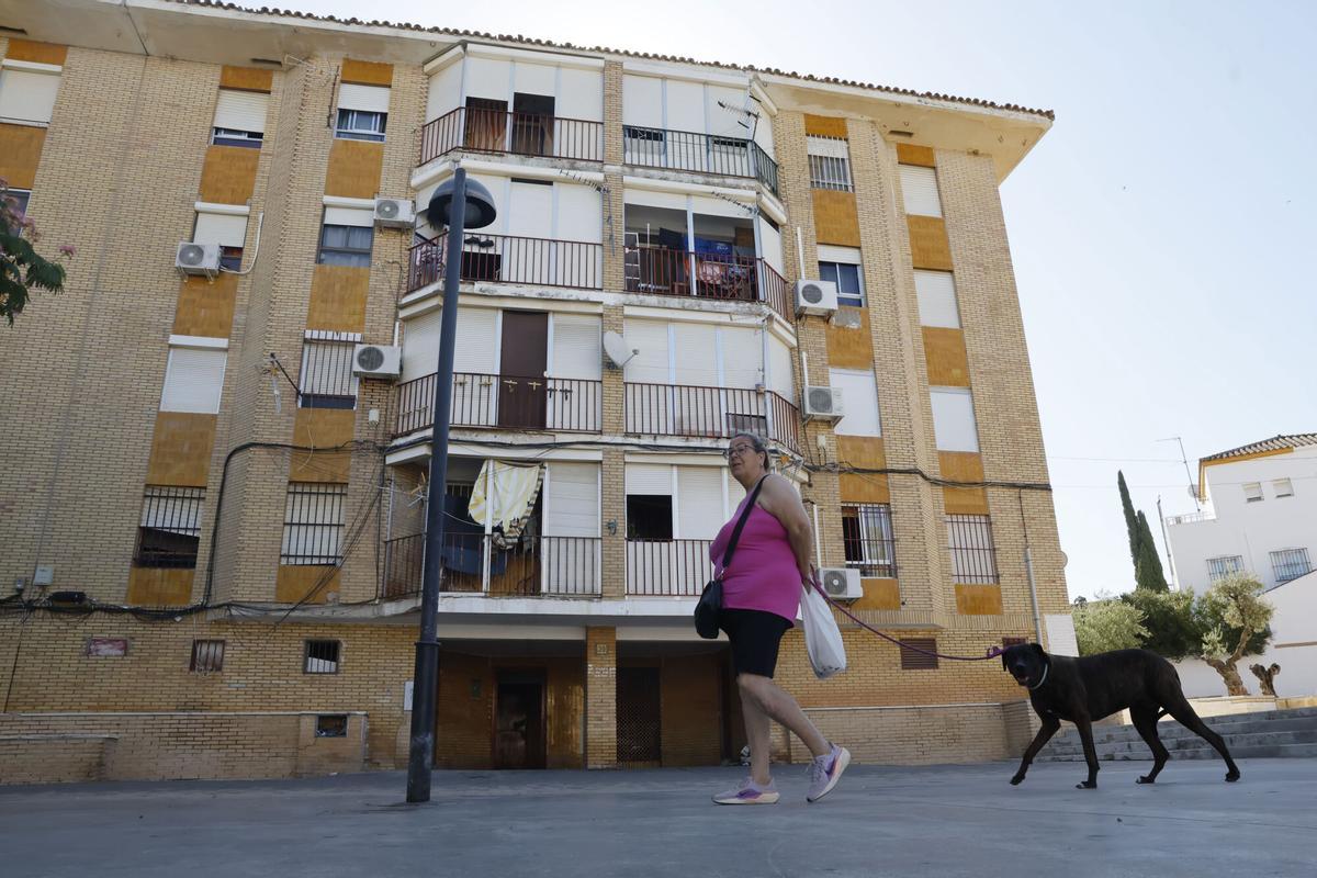 La Guardia Civil investiga el asesinato machista de una mujer en Mairena del Aljarafe La Guardia Civil investiga el asesinato machista de una mujer en Mairena del Aljarafe