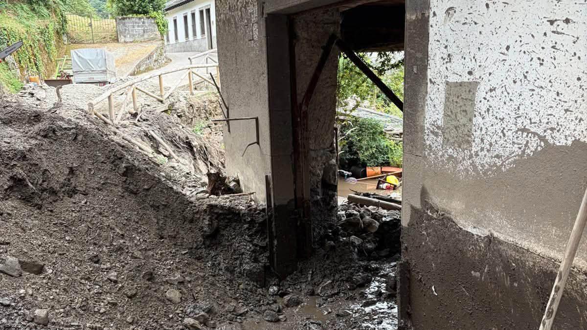 Material retirado de la puerta de la Casa Manón en Llamera.