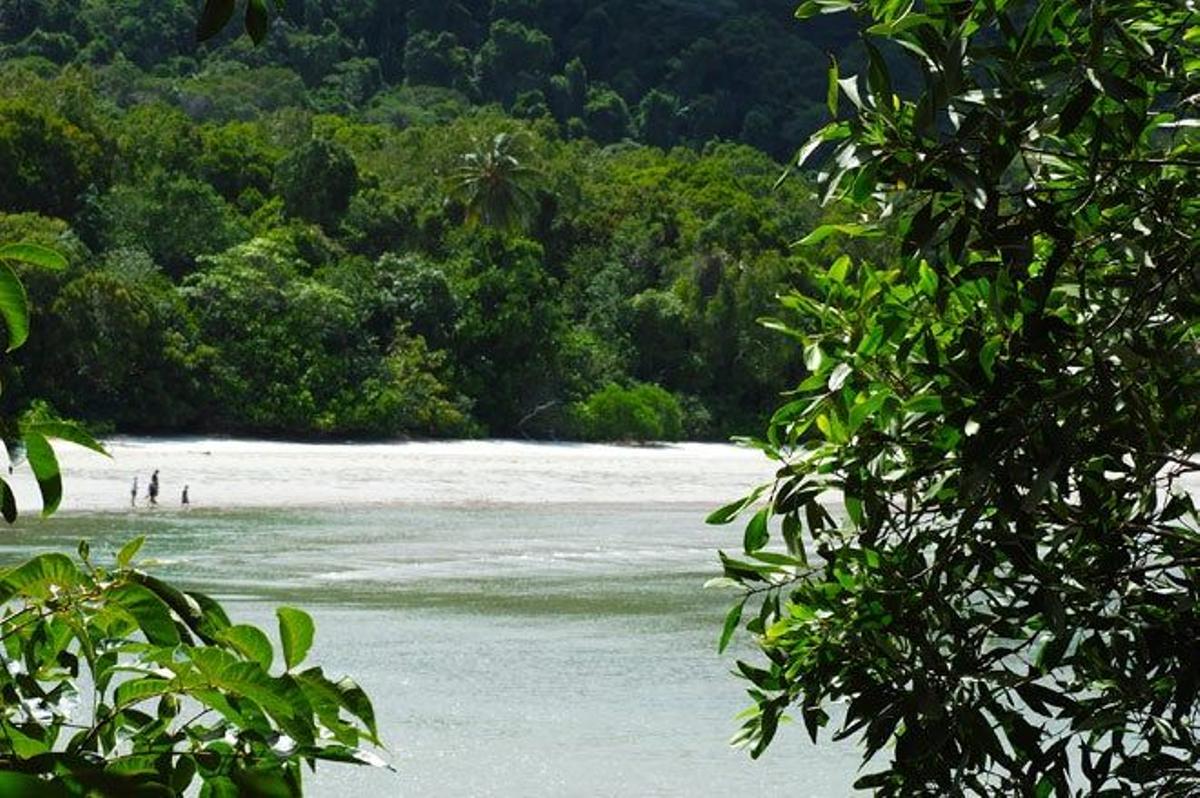Cape Tribulation