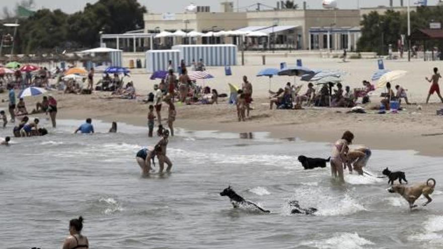 Aspecto de la playa Can de Pinedo, el pasado año.