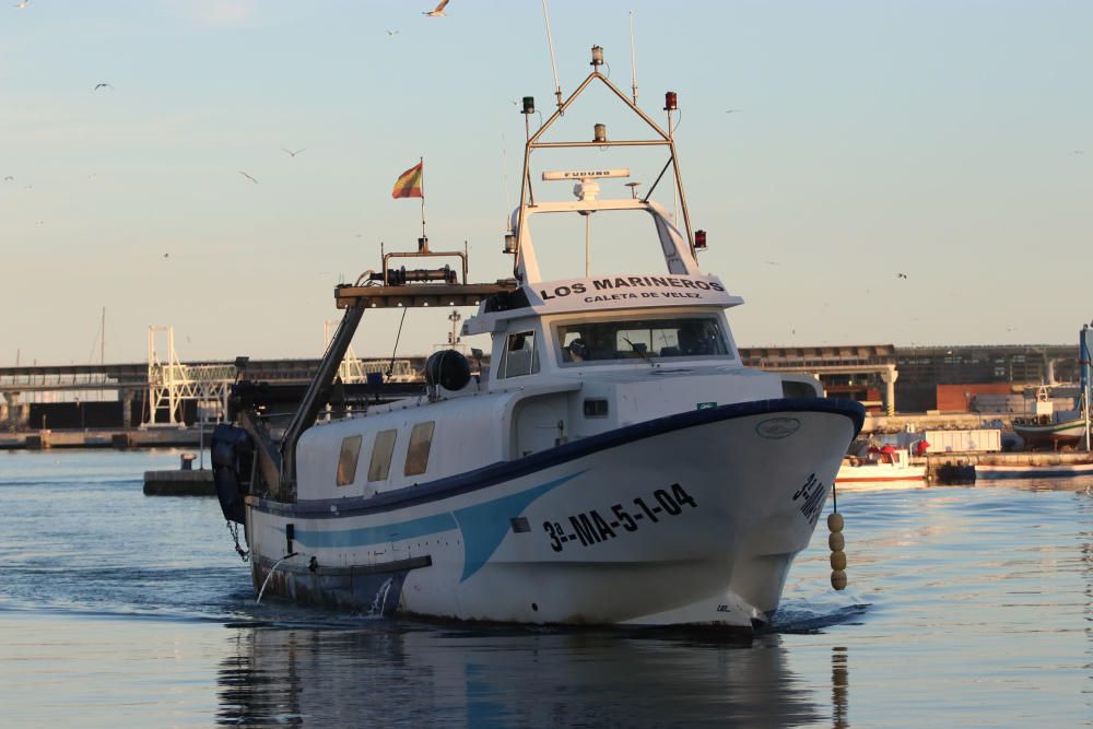 Tan solo cinco compradores y un barco se encargan de llevar el marisco y el pescado de arrastre cada día a la mesa de los malagueños donde la merluza y las gambas son las grandes protagonistas.