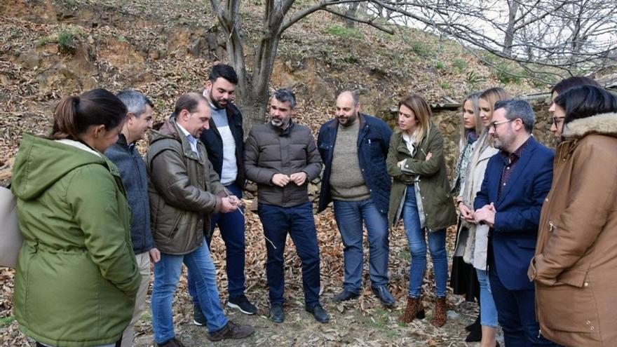 El grupo provincial del PSOE en la Diputación visita uno de los castañares de la provincia.