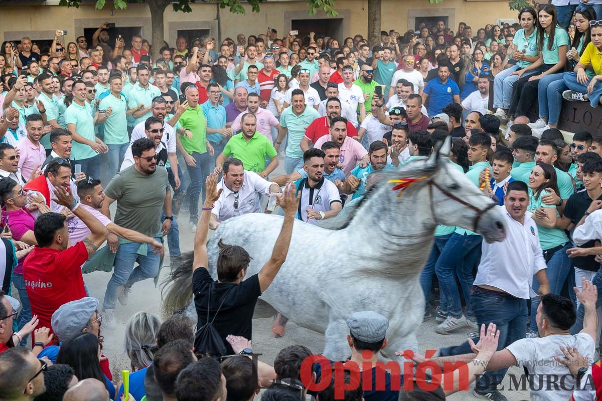 Entrega de premios del concurso morfológico de los Caballos del Vino de Caravaca